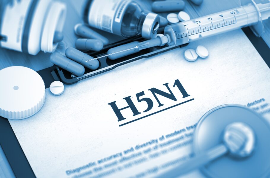 H5N1