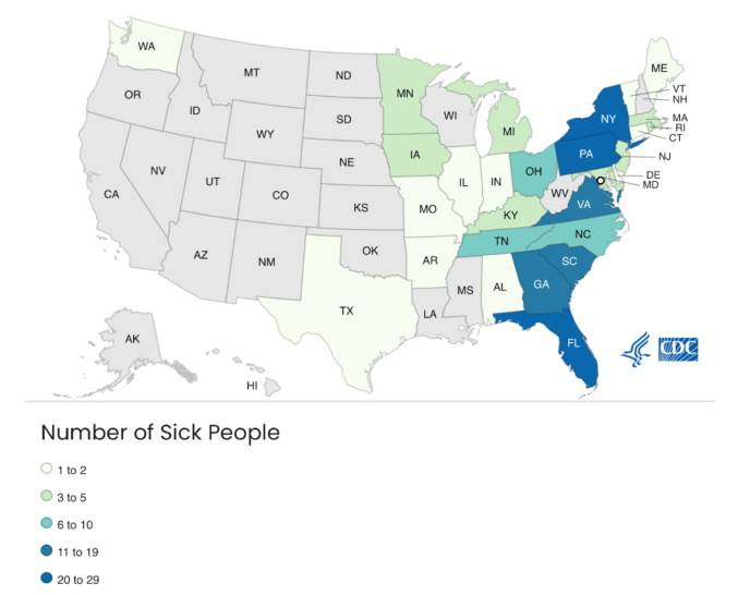 Cucumber Salmonella Outbreak 2024 Aileen Mallory