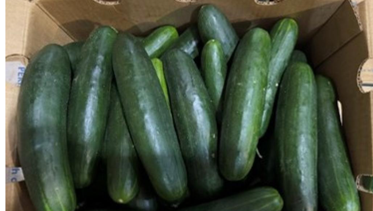 whole cucumbers