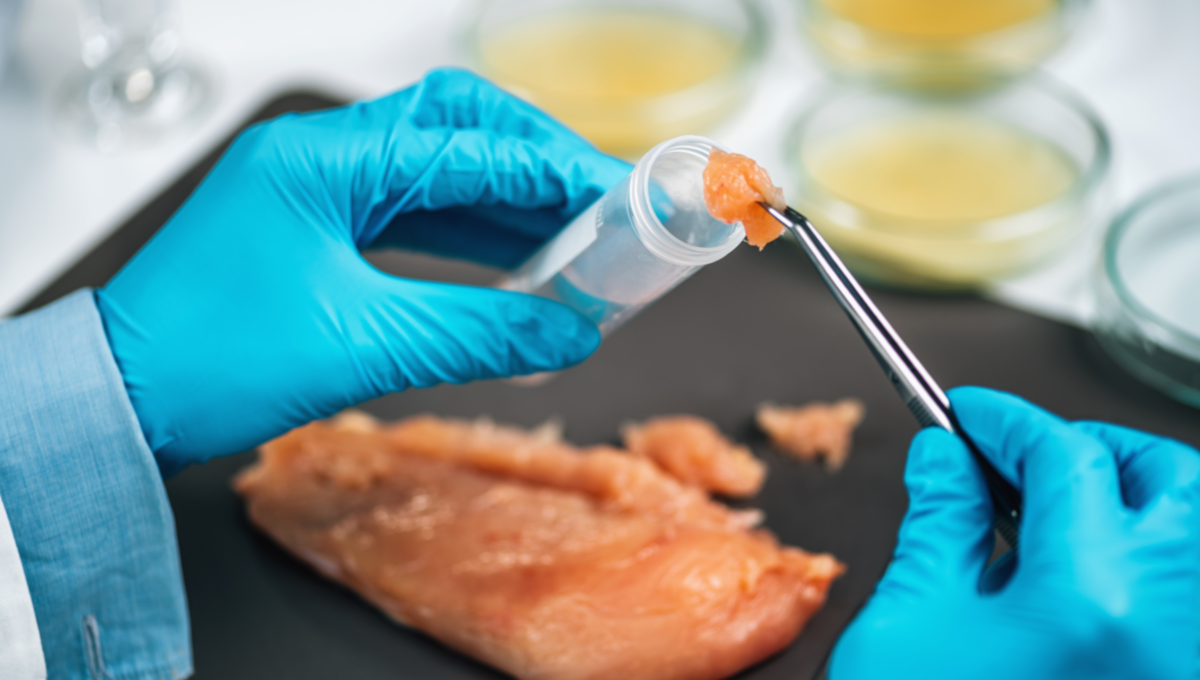 raw chicken testing