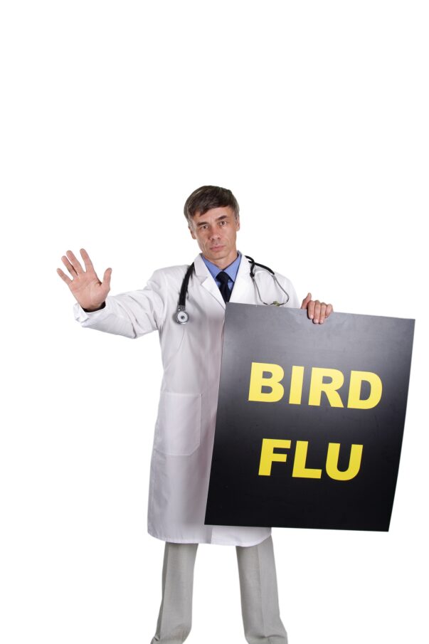 stop bird flu