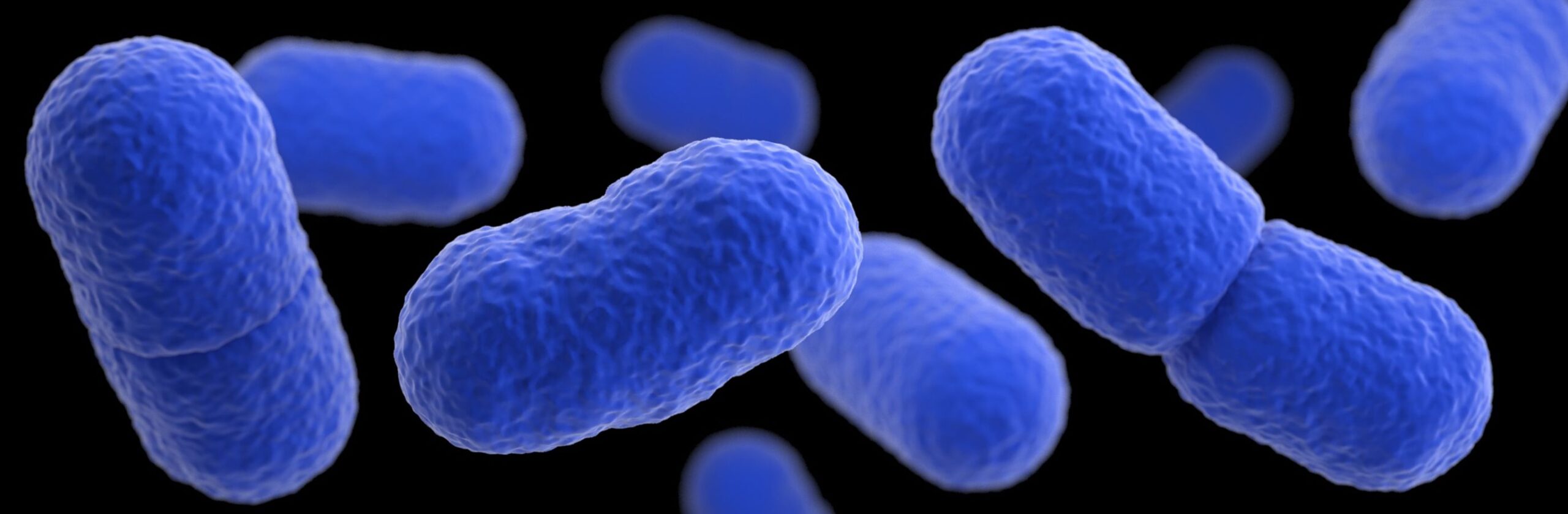 190417210656-listeria-illustration