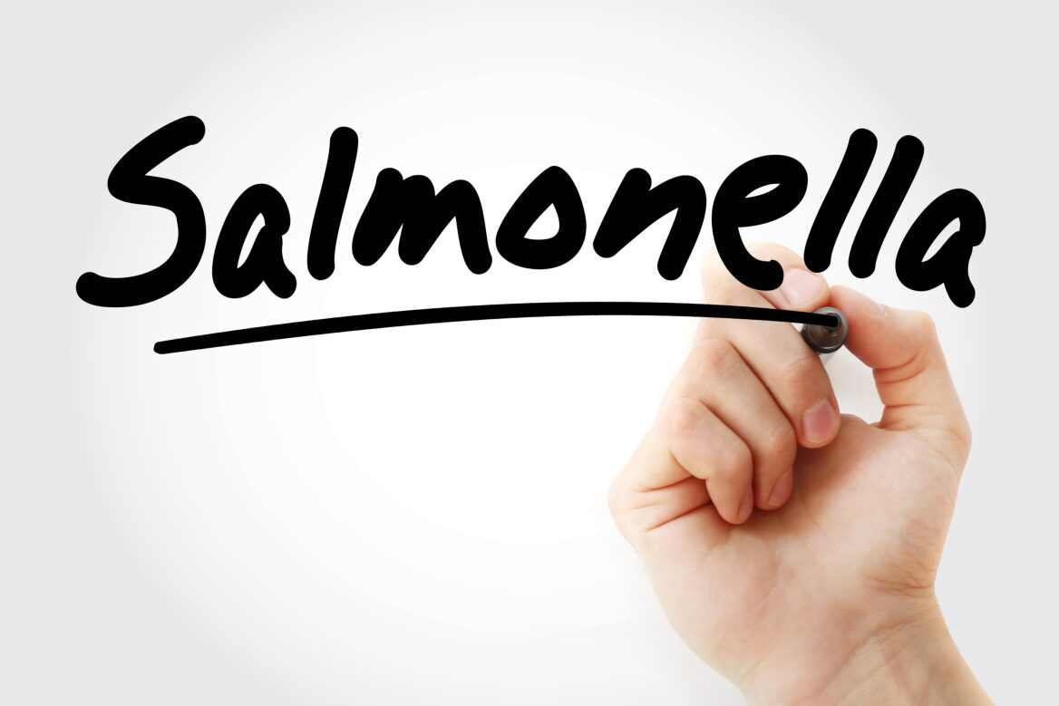 Salmonella
