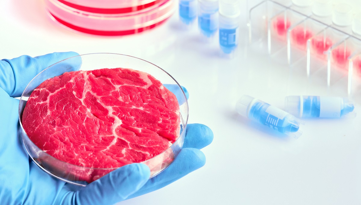 dreamstime_cell based cultivated food meat