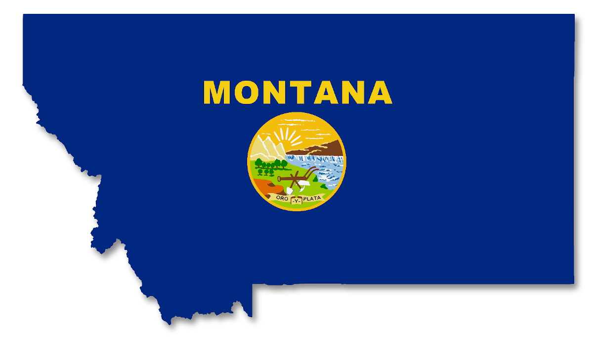 Montana State Flag Map Illustration