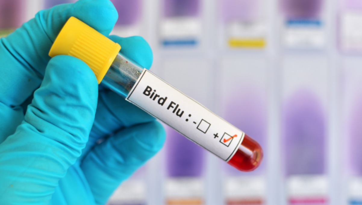 bird flu test tube