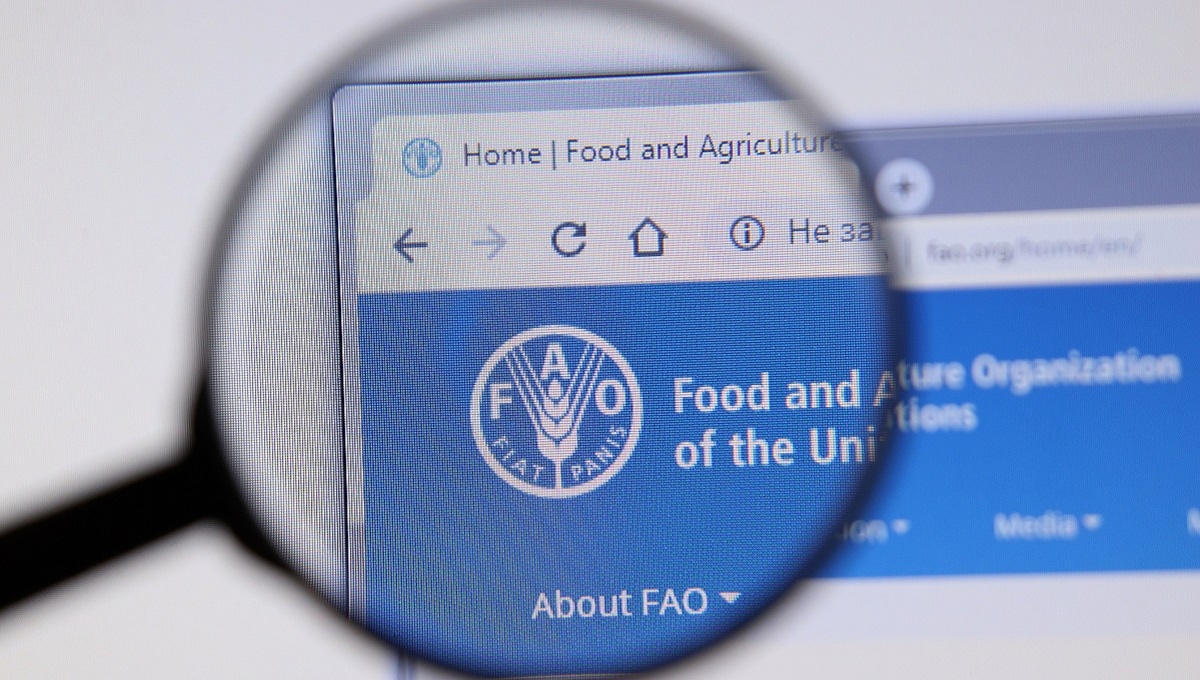 dreamstime_UN FAO