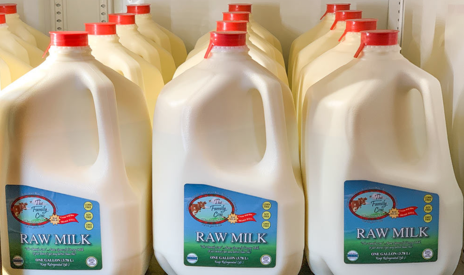 Family Cow dairy raw milk