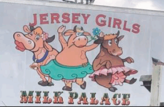 Some dairies offering a safe alternative to raw milk Jersey Girls logo