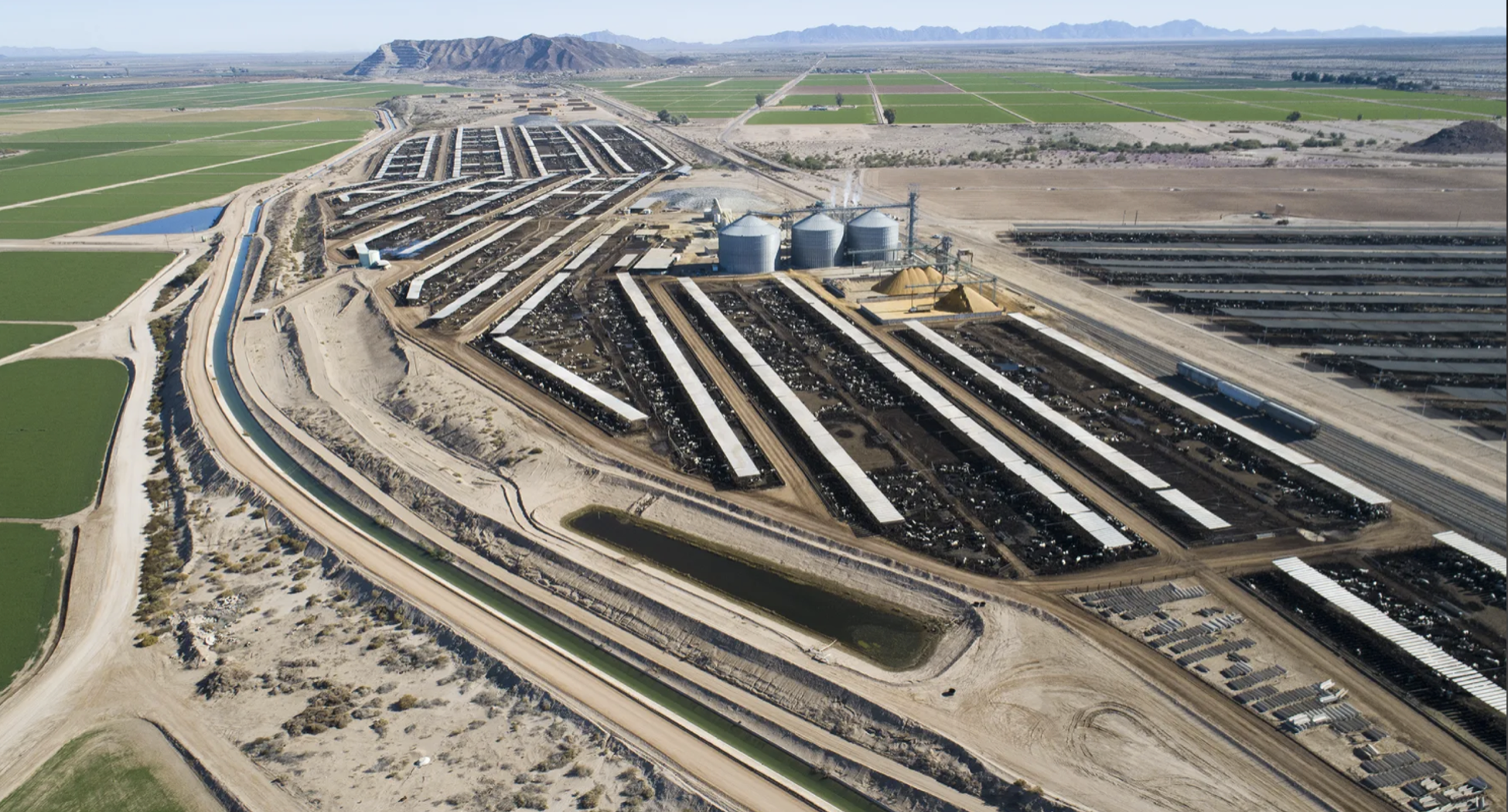 Publisher’s Platform: How Nuisance Law Can Improve Food Safety