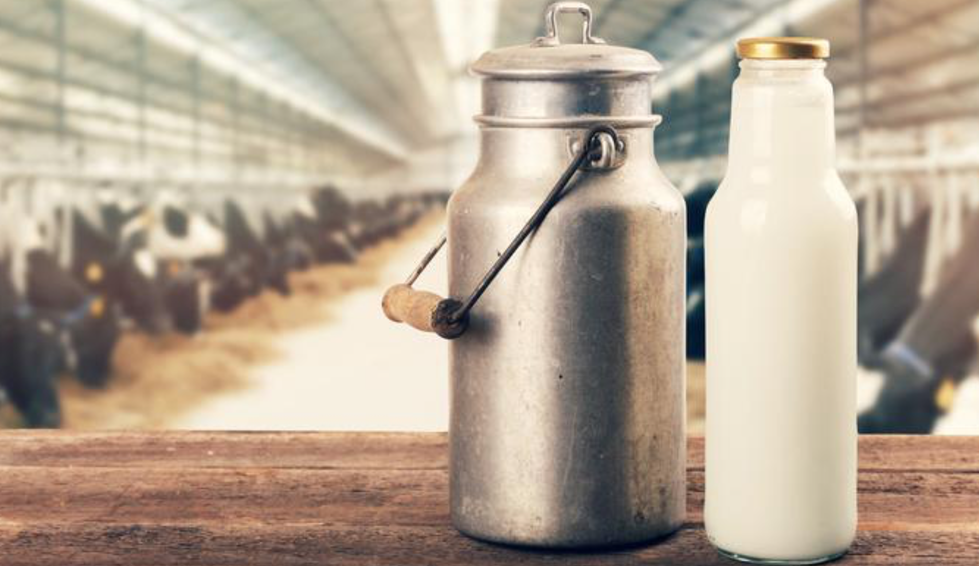 Warning links raw milk to bird flu