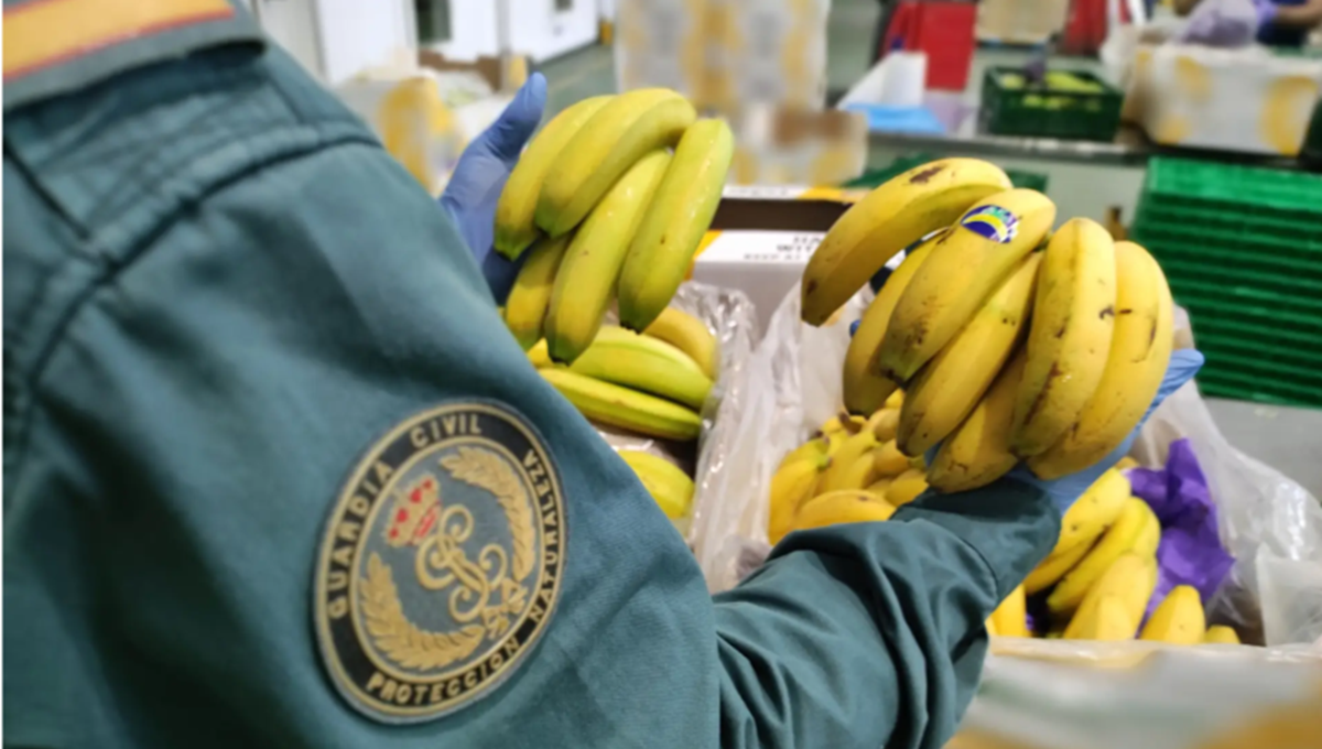 Opson results show diversion of expired products is ‘unprecedented’